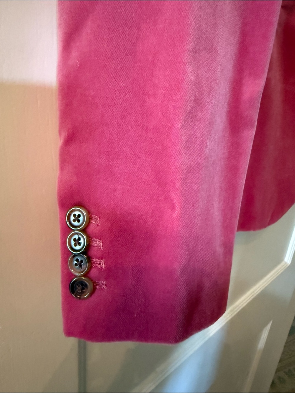 J. CREW PARKE Velvet Blazer in Dried Rose Single-Button Blazer size 16 NWT - Picture 3 of 8